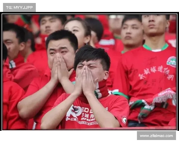 2015年建业 赛事(建业25周年球迷之夜)