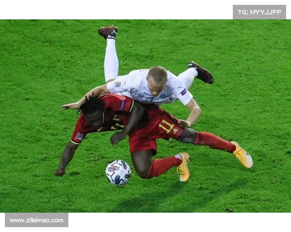 对赛事的赏析—赛事欣赏 对赛事的赏析—赛事欣赏